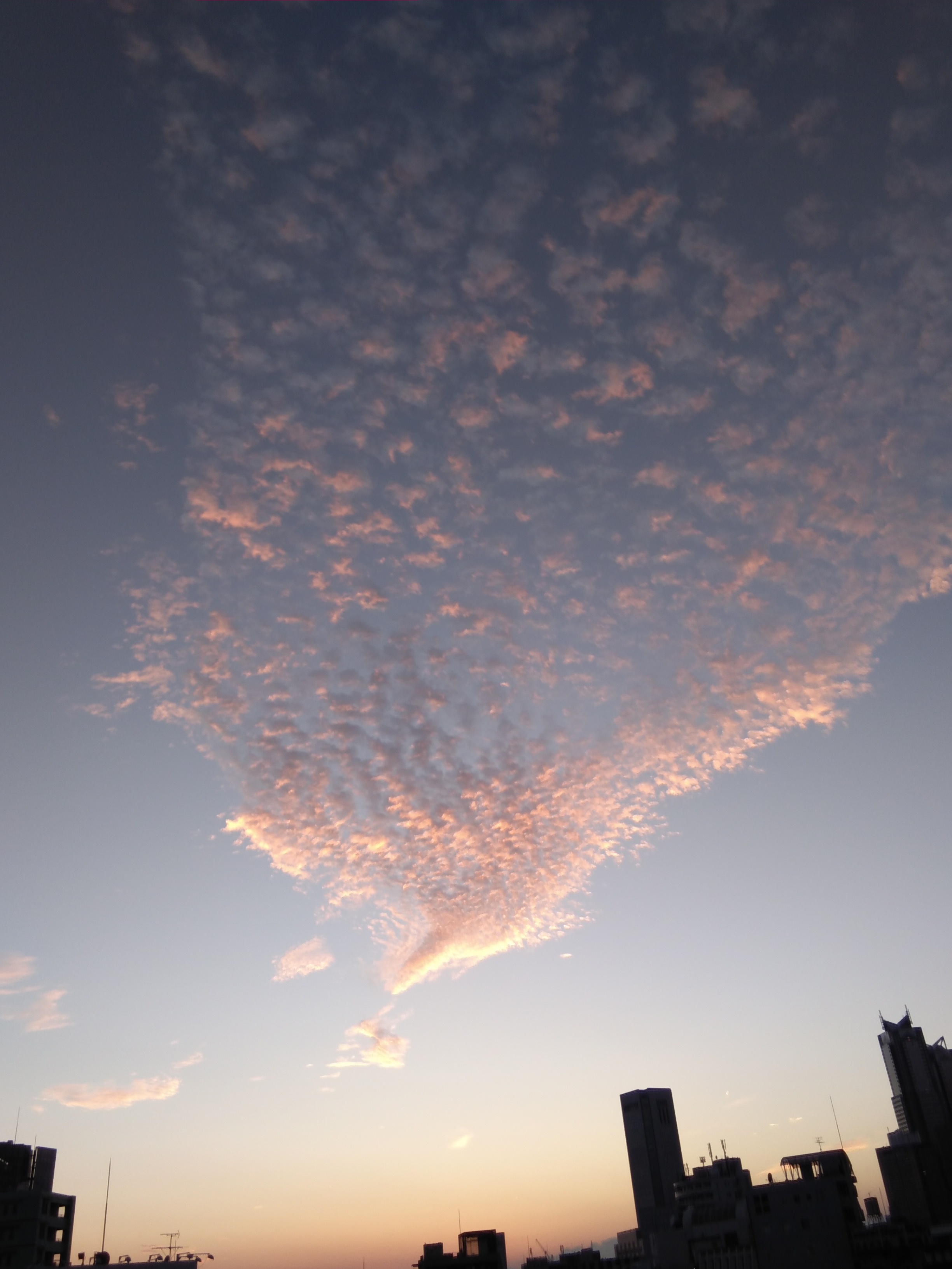 うろこ雲とひつじ雲 イメージ