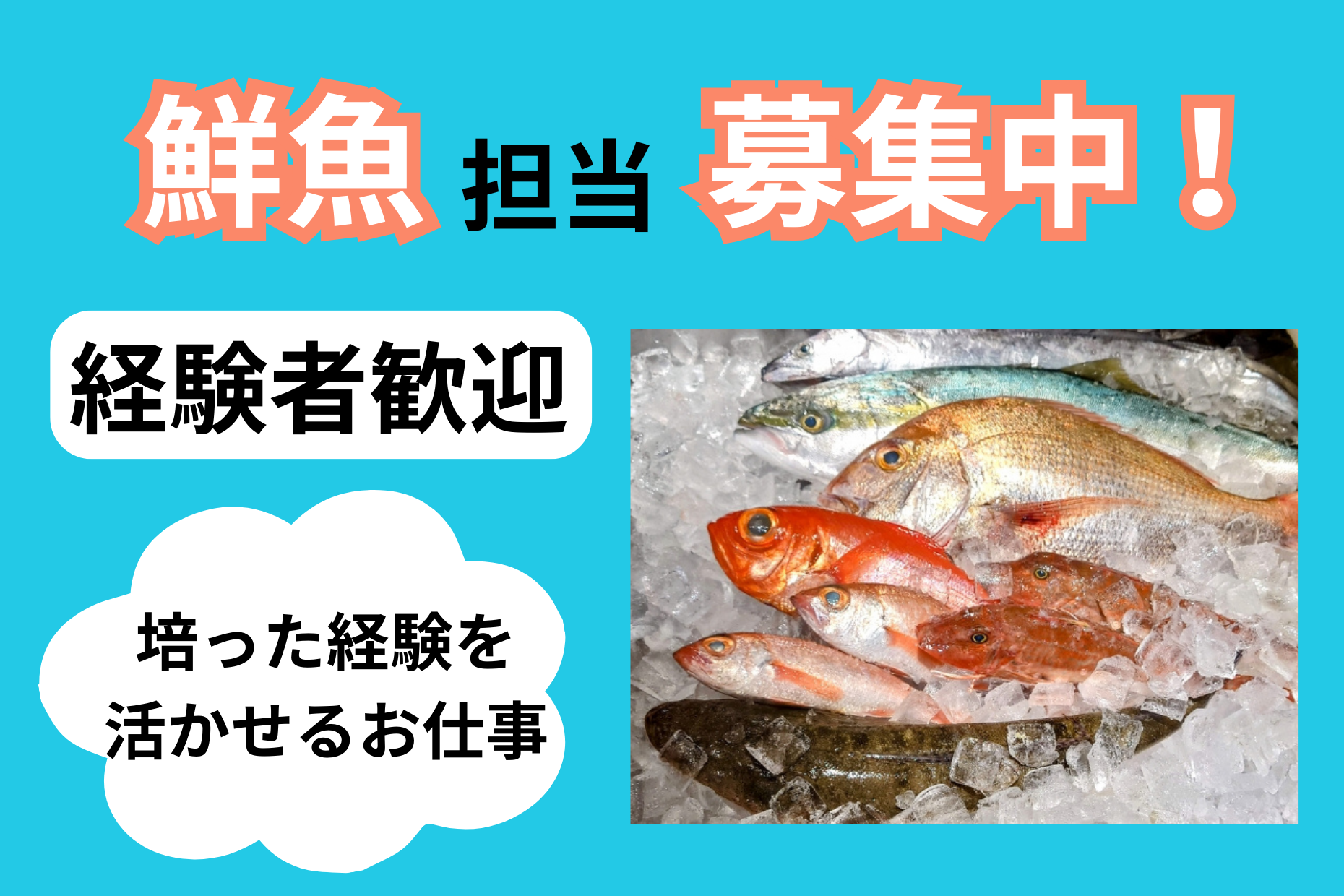 【駿東郡】 鮮魚経験者歓迎／ブランクOK／長期歓迎／時給1300円 イメージ