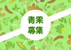 【南栄駅から車で5分】青果経験者／時給1500円／週5日／車通勤OK イメージ