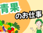 青果部門責任者／売場構築とKPI管理および店舗運営業務 イメージ