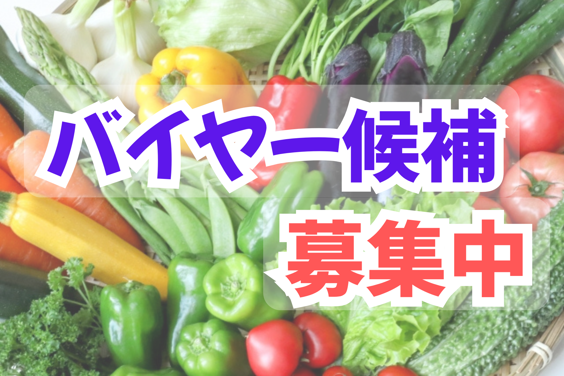 正社員募集／バイヤー候補の経験者／年収400万～【南関東エリア】 イメージ