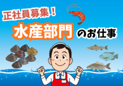 水産部門責任者／売場改善と商品管理および人材育成業務 イメージ