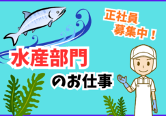 水産売り場責任者／発注管理と売場構築および店舗運営業務 イメージ