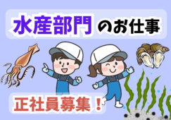 水産売り場責任者／商品展開と売場構築および運営業務 イメージ