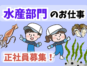 水産売り場責任者／商品展開と売場構築および運営業務 イメージ