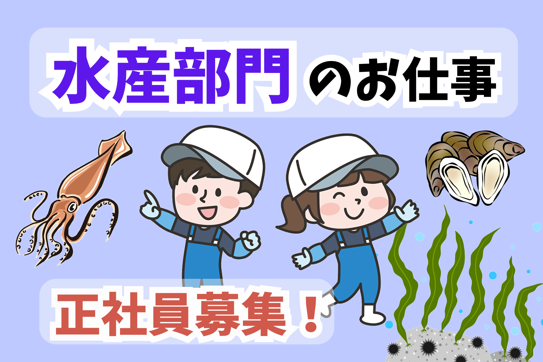 水産売り場責任者／商品展開と売場構築および運営業務 イメージ