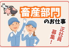 畜産スーパーバイザー／加工技術指導と売場運営管理業務 イメージ