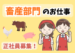 畜産スーパーバイザー／加工技術指導と売場運営管理業務 イメージ
