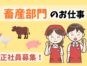 畜産部門マネージャー／発注管理と売場運営および人材育成 イメージ